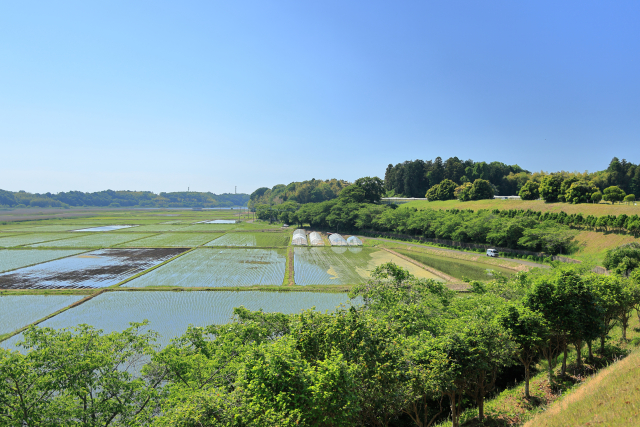加茂・寺谷地区の田園風景