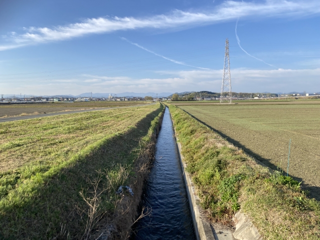 東海道新田地区の水路と田園