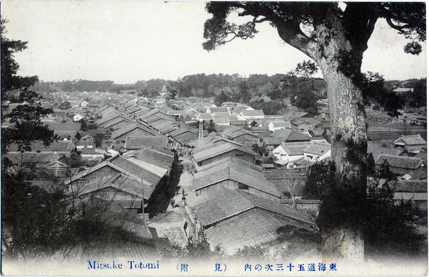 愛宕神社境内の高台から俯瞰した見付宿の景観を写した絵葉書、東海道五十三次の内 見付。手前に大きな樹木、中央に瓦屋根の連なる街道の町並み、その中ほどに塔状の火の見櫓が写る